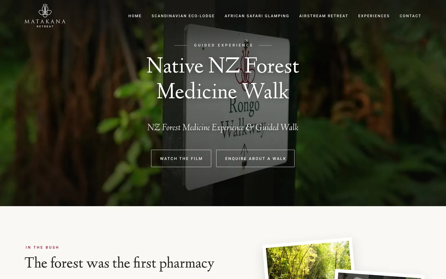 Matakana Retreat forest medicine walk page on a laptop